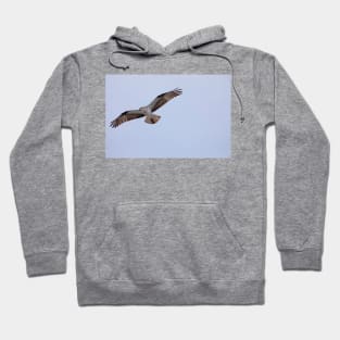 Osprey_VOA6742 Hoodie